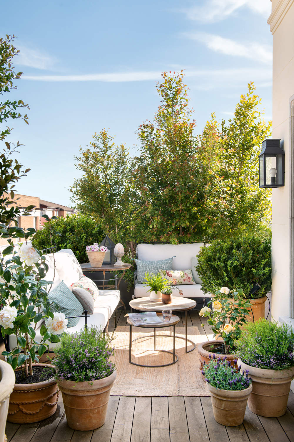 Terraza rústica con sofás de hierro y blancos con macetas con arbustos y plantas aromáticas